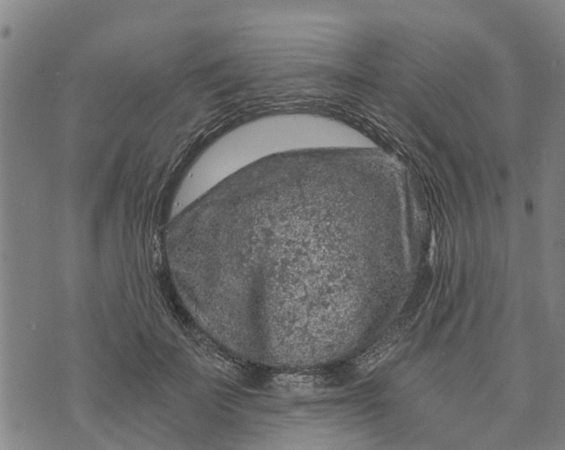 X0000073750699200608241347