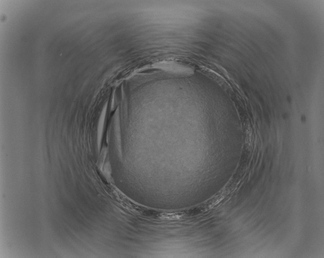 X0000073750701200608241347