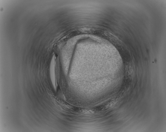 X0000073750702200608241347