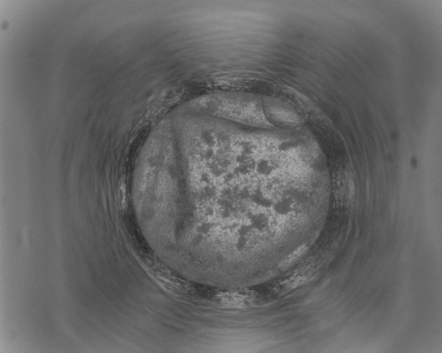 X0000073750703200608241347