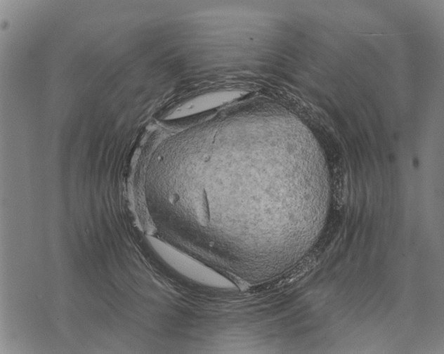 X0000073750704200608241347