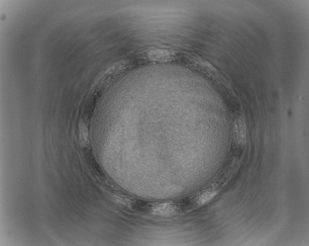 X0000073750705200608241347