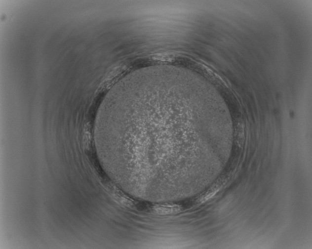 X0000073750707200608241347