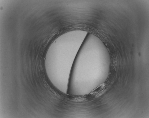 X0000073750708200608241347