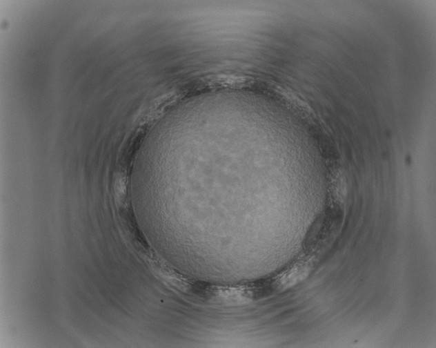 X0000073750709200608241347