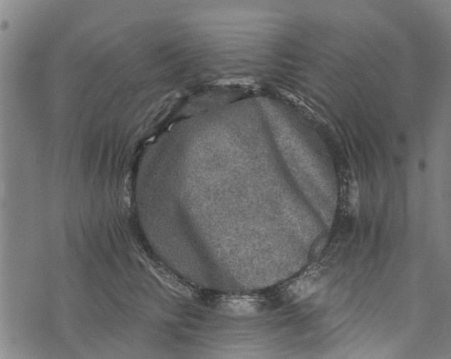 X0000073750710200608241347