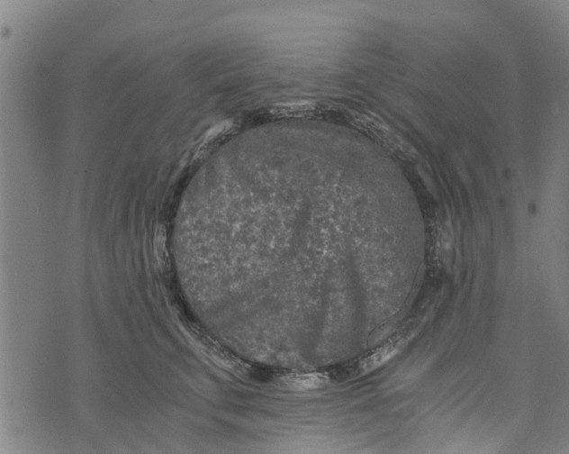 X0000073750711200608241347