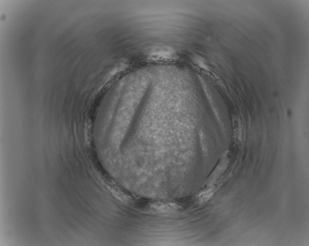 X0000073750712200608241347