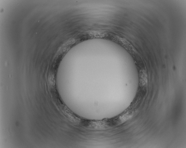 X0000073750713200608241347