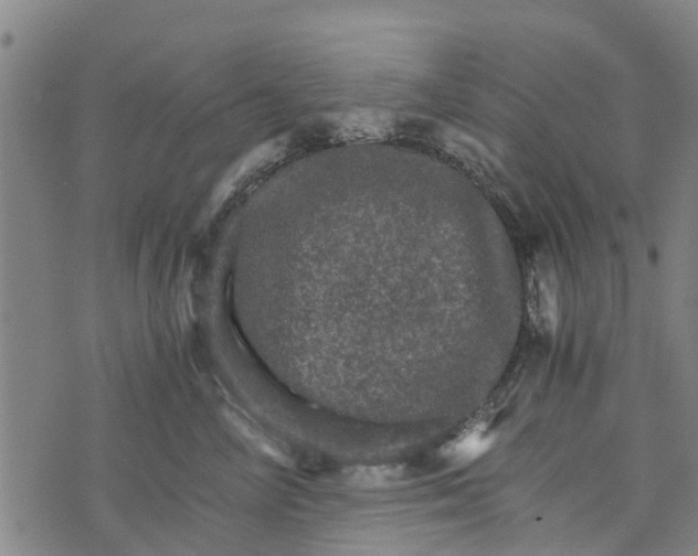 X0000073750714200608241347