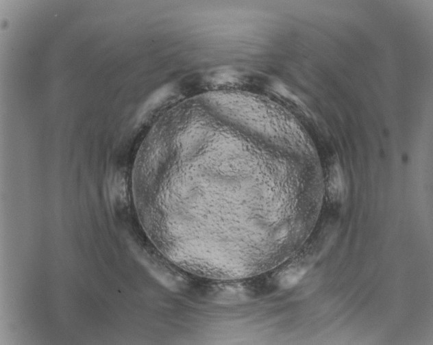 X0000073750715200608241347