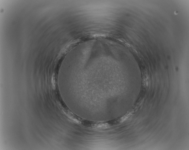 X0000073750716200608241347