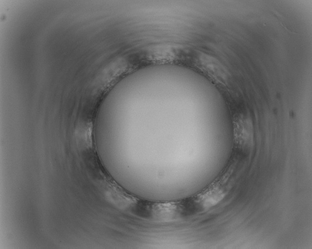 X0000073750717200608241347