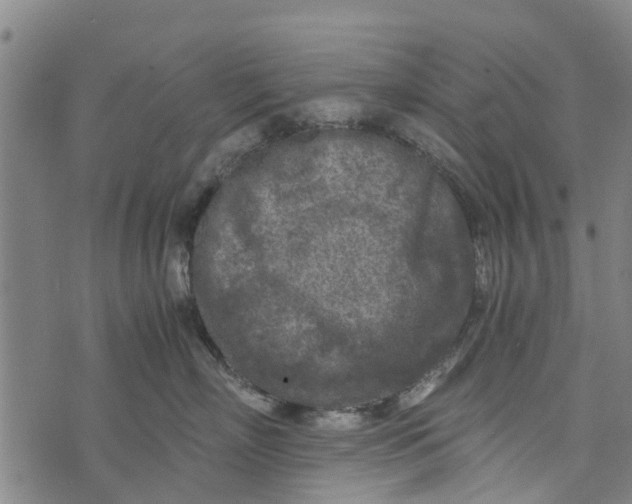 X0000073750718200608241347