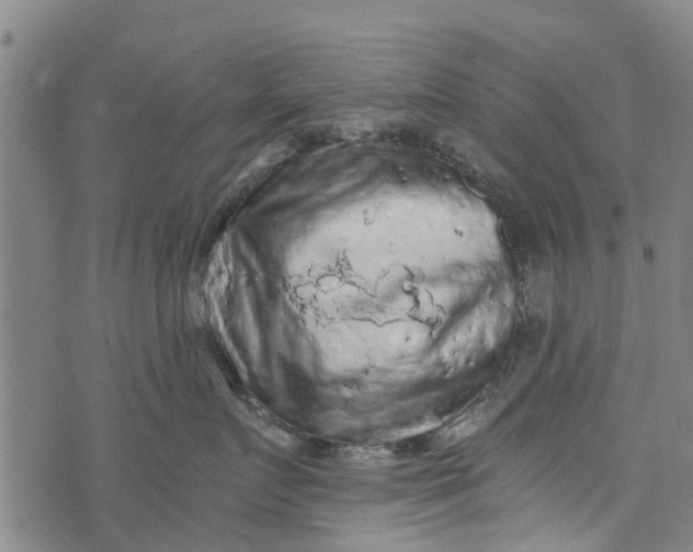 X0000073750719200608241347