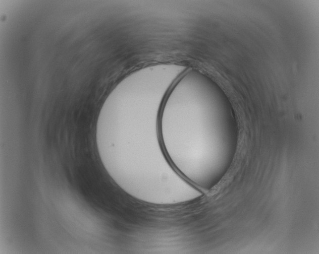 X0000073750720200608241347