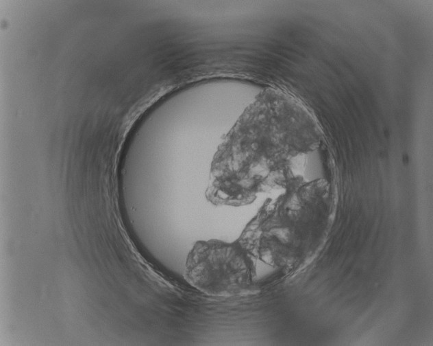 X0000073750721200608241346