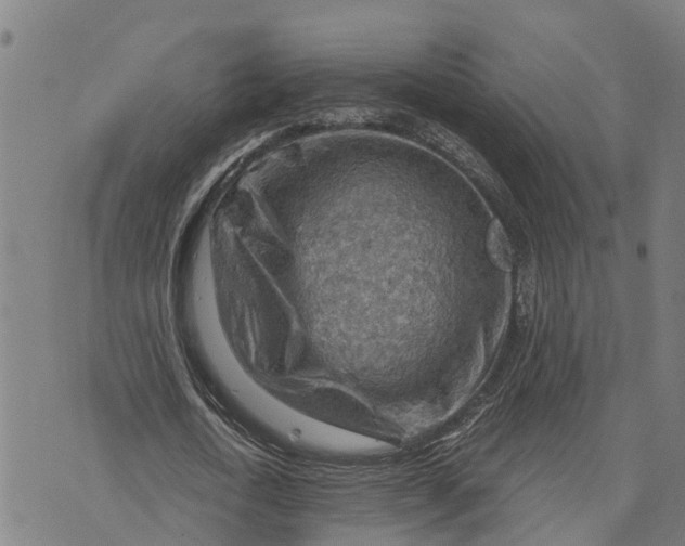 X0000073750722200608241346