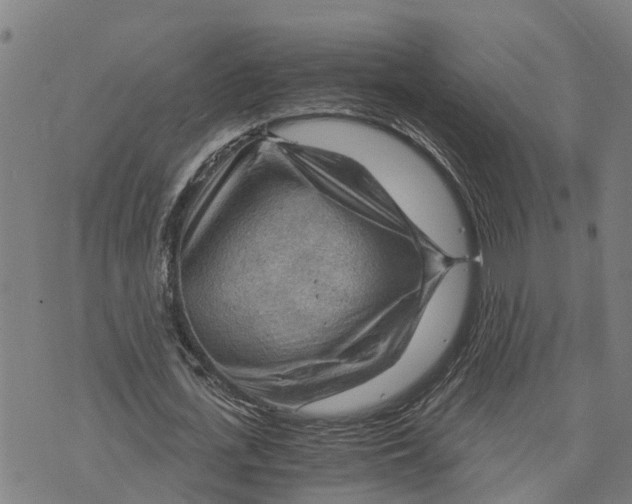 X0000073750723200608241346