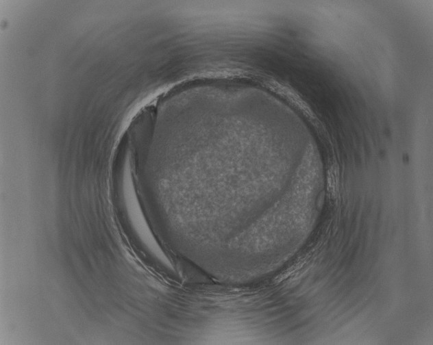 X0000073750724200608241346