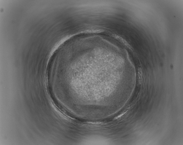 X0000073750726200608241346