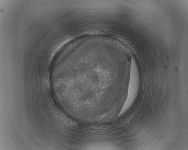 X0000073750727200608241346