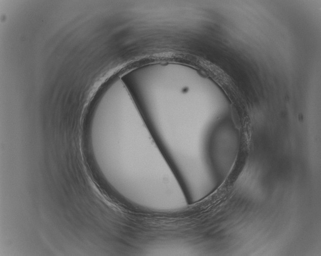 X0000073750728200608241346