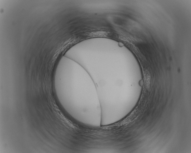 X0000073750729200608241346