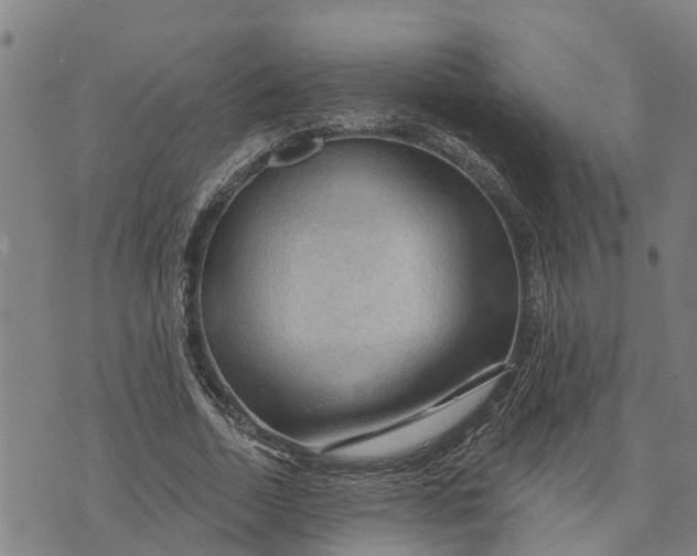 X0000073750730200608241346