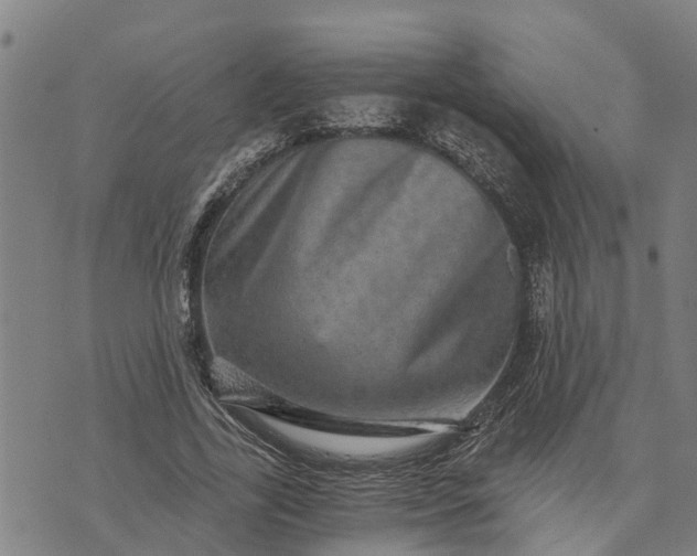 X0000073750731200608241346