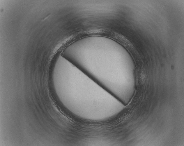 X0000073750732200608241346