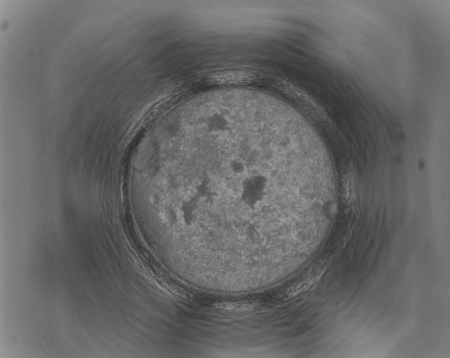 X0000073750733200608241346