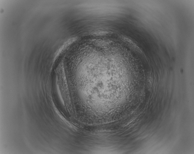 X0000073750734200608241346