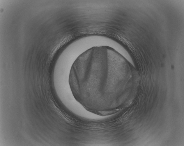 X0000073750735200608241346