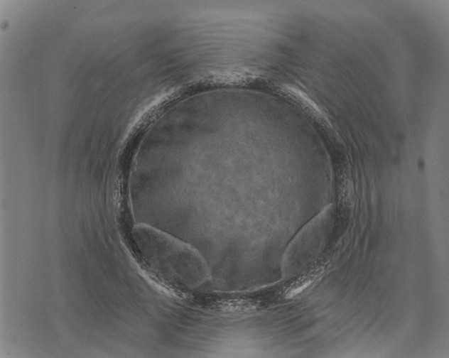 X0000073750736200608241346