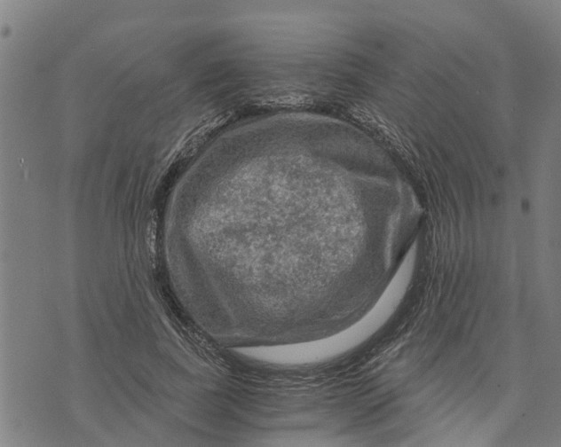 X0000073750739200608241346