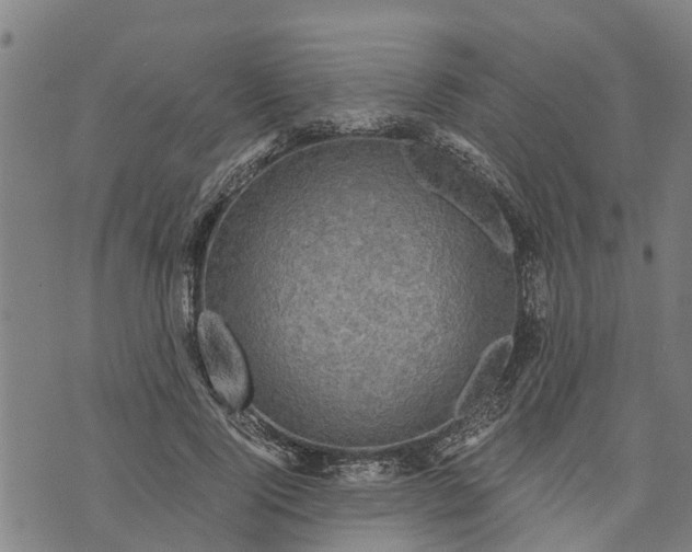 X0000073750740200608241346