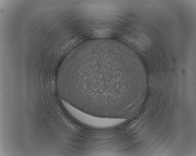 X0000073750741200608241346