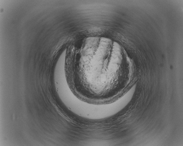 X0000073750742200608241346