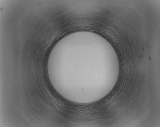 X0000073750743200608241346