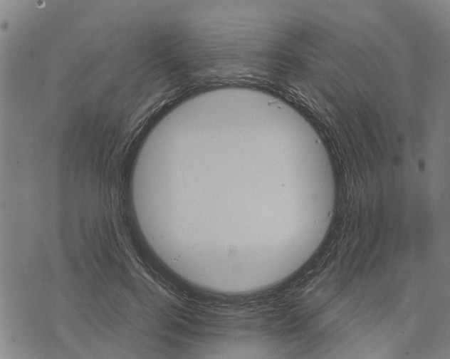 X0000073750744200608241346