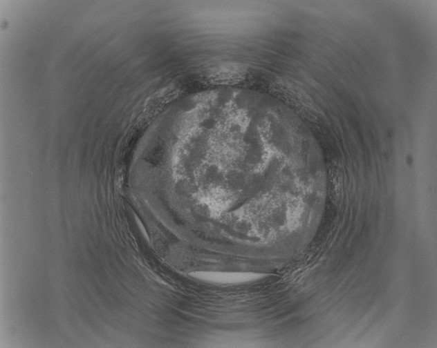 X0000073750745200608241346