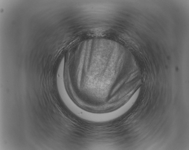 X0000073750747200608241346