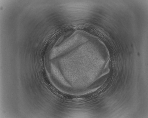 X0000073750748200608241346