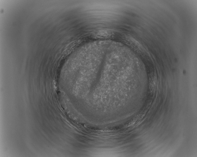 X0000073750749200608241347