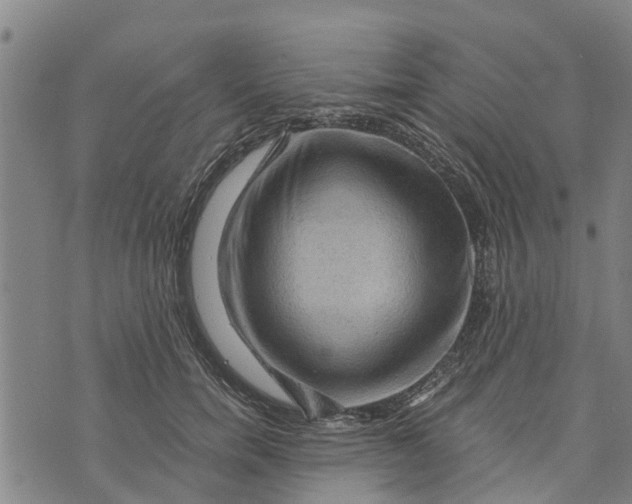 X0000073750750200608241347