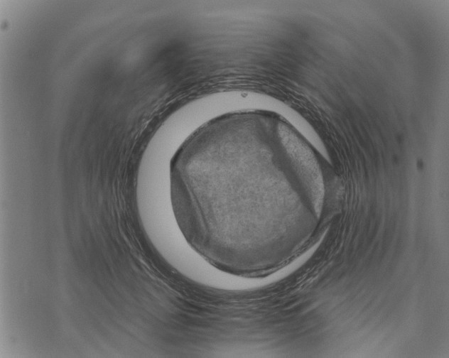 X0000073750751200608241347