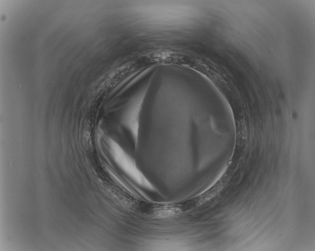 X0000073750754200608241347