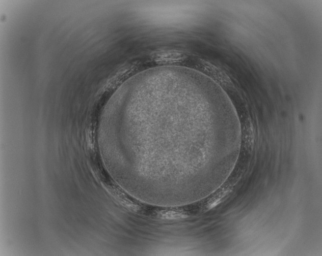 X0000073750755200608241347