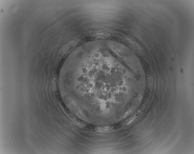 X0000073750757200608241347